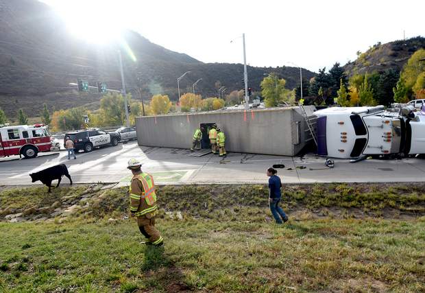 Colorado Truck Crash Kills Three Livetock in Durango Colorado